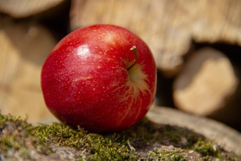 Indice glycémique des aliments : guide pratique pour mieux manger