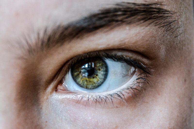 Huile de ricin sourcils : protocole 30 jours pour les densifier