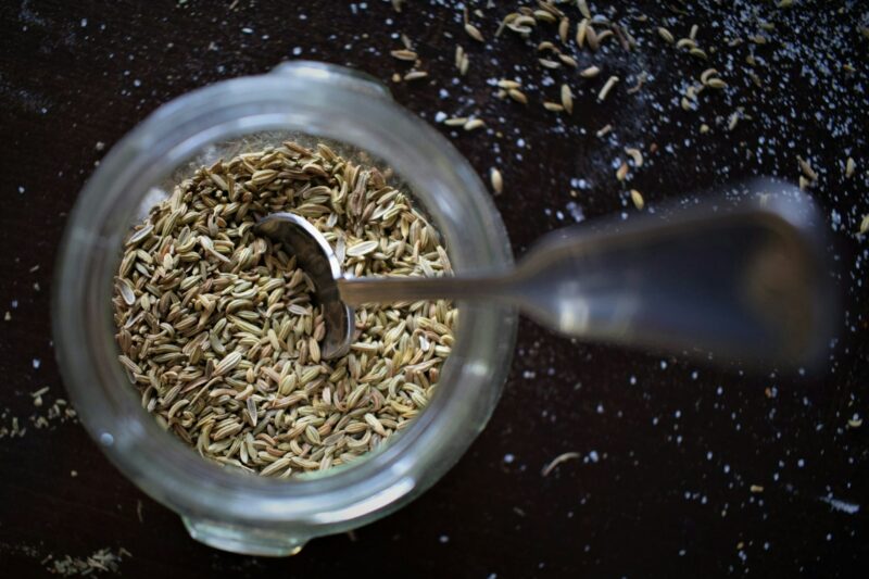 Psyllium blond : bienfaits, posologie et précautions